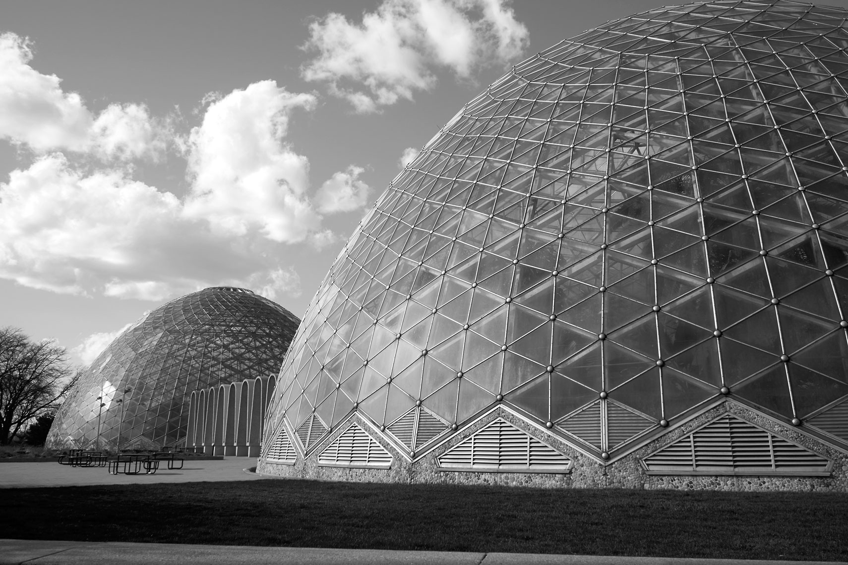 Mitchell Park Domes for The Lily Magazine.