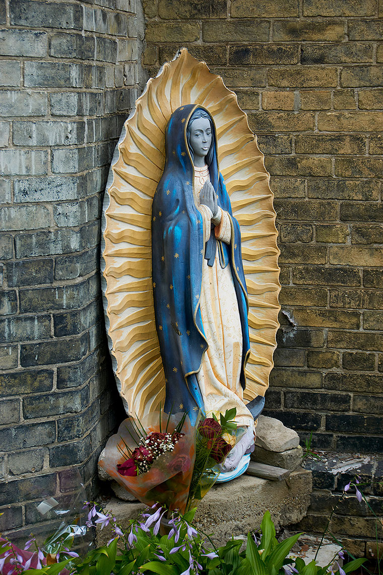 guadalupe11